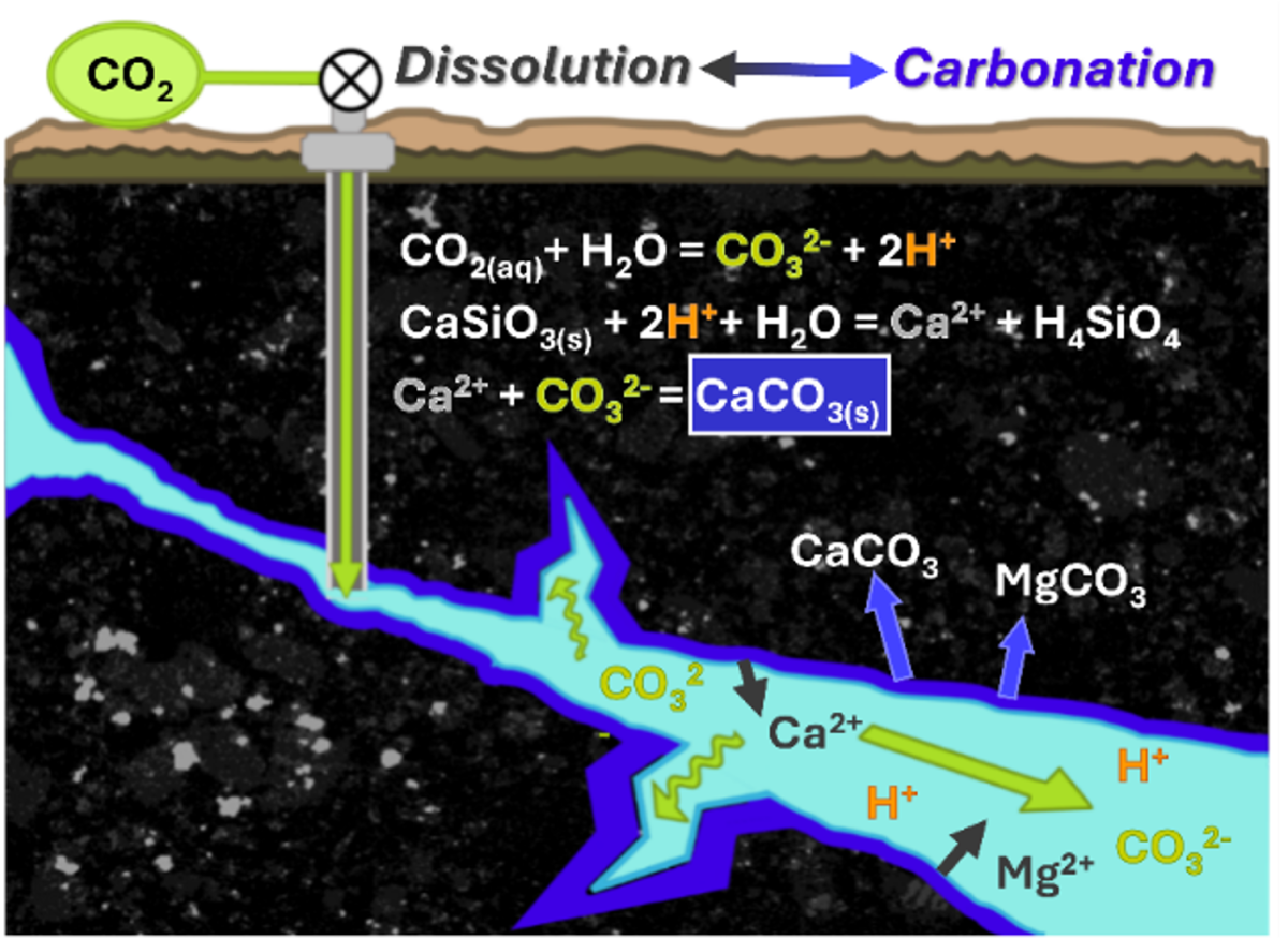 Schematic overview of carbon mineralization in subsurface basalt fractures