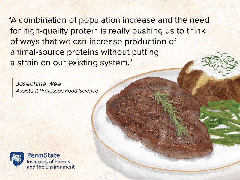 A combination of population increase and the need for high-quality protein is really pushing us to think of ways that we can increase production of animal-source proteins without putting a strain on our existing system. Josephine Wee, Assistant Professor, Food Science