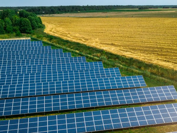 solar panels in farm field