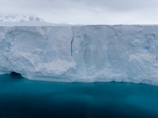 A Glaciologist Reveals What We Still Don’t Understand About Polar Ice