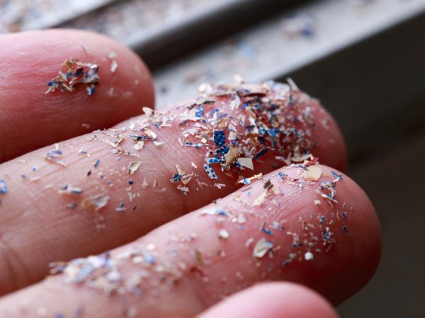 Microplastics on a human hand and fingers