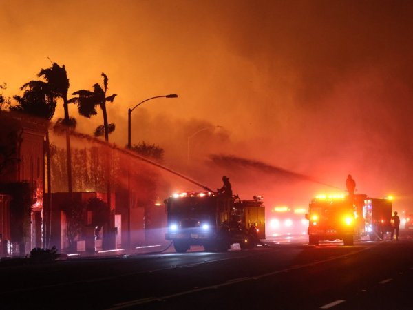 Firefighters battle the Palisades wildfire in Los Angeles, January, 2025.