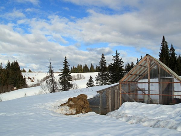 Poverty and other socioeconomic conditions have led to food, energy and water insecurities in remote Alaskan communities. Credit: mscornelius/iStock