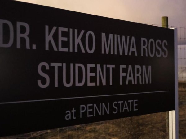 Penn State’s Student Farm brings 'healthy' meal ideas with microgreens event