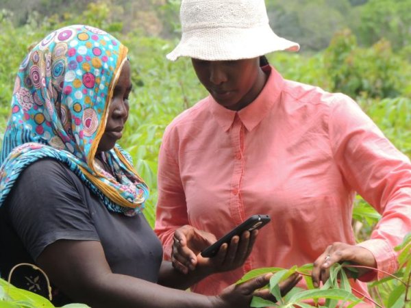 PlantVillage receives $4.96 million grant to combat crop loss in Africa | Penn State University