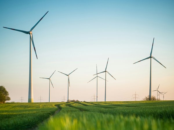wind turbines in a green field