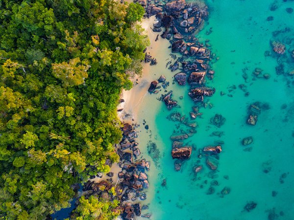 Where Rainforest meets Coral Reef at remote Masoala National Park in Madagascar