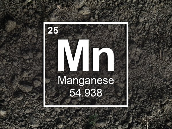 Manganese periodic table graphic with soil background
