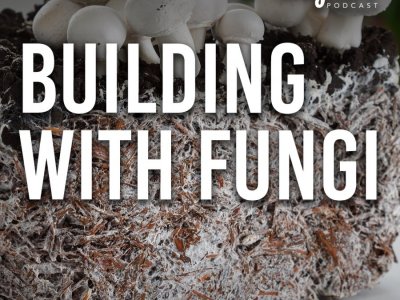 Building with fungi