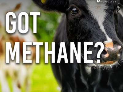 Got methane?