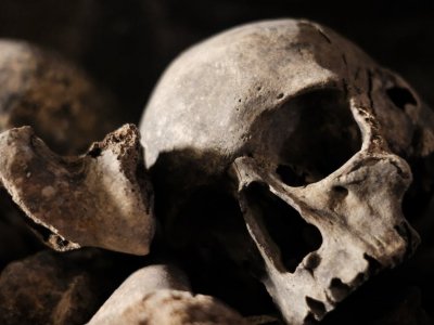 Ancient DNA reveals a hidden history of human adaptation