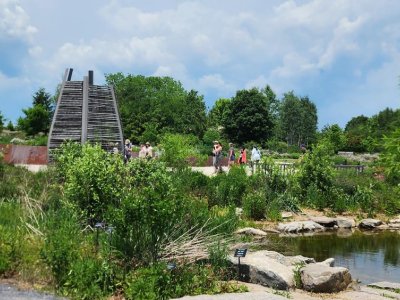 Arboretum at Penn State's Pollinator and Bird Garden wins international award | Penn State University