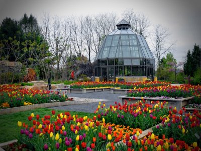 Flowers blooming at the Penn State Arboretum