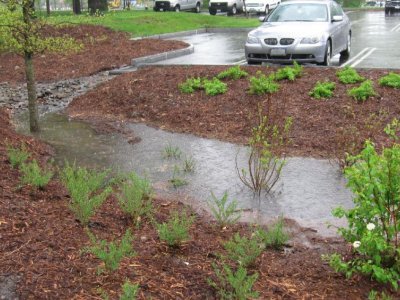 Assistant professor recognized for green stormwater infrastructure research | Penn State University