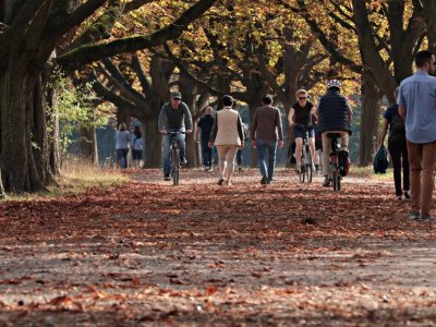 People walking and bicycling in a park during autumn. 