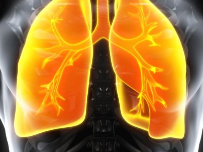 Borhan and Bascom receive grant to study respiratory disease in modeled lungs | Penn State University