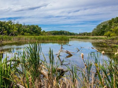 Carbon flow through inland and coastal waterways, implications for climate | Penn State University