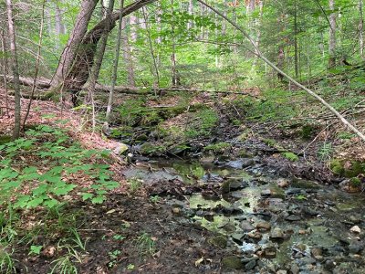 Climate plays large role in carbon release from streams, researchers find | Penn State University