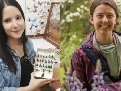 Graduate students in entomology and ecology win prestigious fellowships | Penn State University
