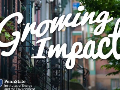 'Growing Impact' explores urban forests, their impact on hot cities | Penn State University