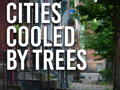 Cities Cooled by Trees