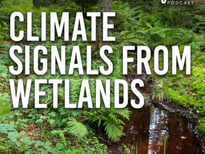 Climate signals from wetlands