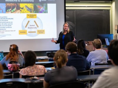 Heard on Campus: Sarah Bordenstein, The Wolbachia Project | Penn State University