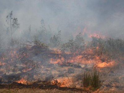 High rates of landscape degradation not product of landscape fires | Penn State University