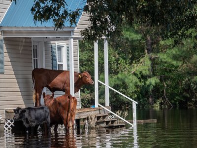 Homes in flood-prone areas should be getting cheaper. They're not.