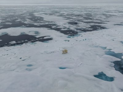 How scientists believe the loss of Arctic sea ice will impact US weather patterns