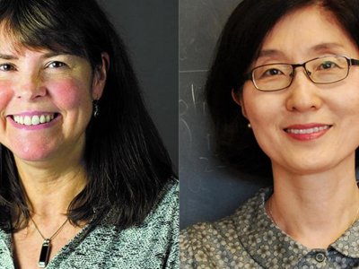 Joan Redwing and Sukyoung Lee named distinguished professors | Penn State University