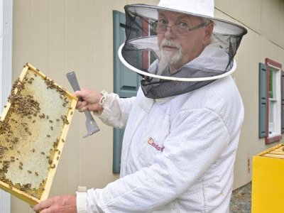 Lancaster County beekeepers on alert as yellow-legged hornets appear in Georgia