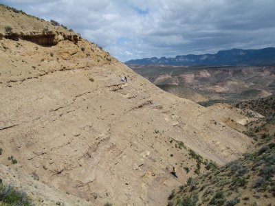 Researchers collect fossils on a side of a cliff in southern Argentina