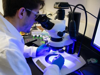 Logan Kyle using microscope in Organics Laboratory
