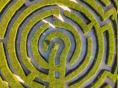 A circular hedge maze with a question mark in the center