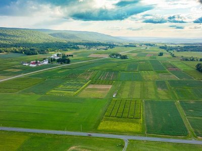 Mixed cover crops capture carbon in soil, could help mitigate climate change | Penn State University
