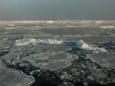 More frequent atmospheric rivers hinder seasonal recovery of Arctic sea ice  | Penn State University