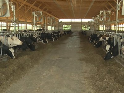 New study aims to help Pennsylvania dairy farmers develop 'climate smart' practices