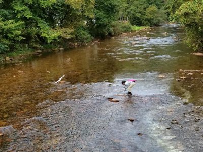 Novel model can aid decisions in electricity generation, stream water quality | Penn State University