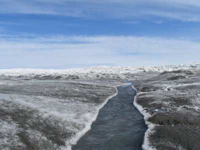 Dust and algae darken the Greenland ice sheet