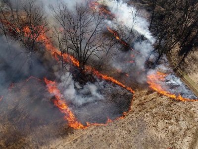 Pa. private forest landowners want to use controlled fire to manage their woods | Penn State University