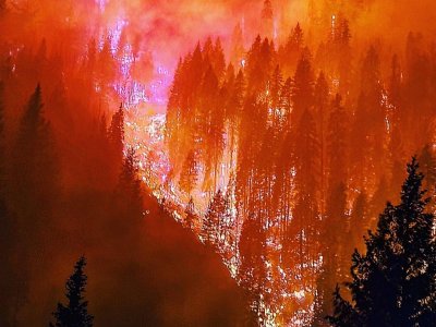 Past fires may hold key to reducing severity of future wildfires in western US | Penn State University
