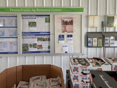 Penn State Extension expands resources for growers at produce auctions | Penn State University