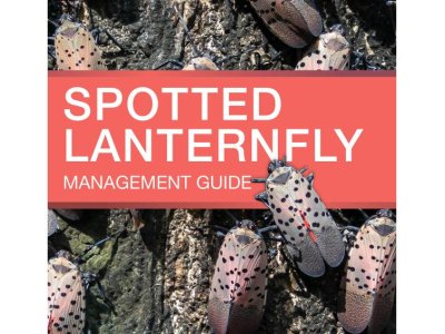 Penn State Extension guide provides advice on managing spotted lanternfly | Penn State University