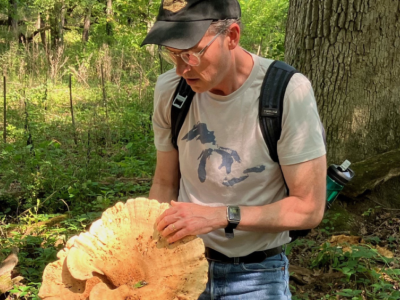 Penn State professor elected to Mycological Society of America leadership | Penn State University
