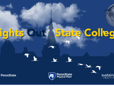 Penn State to take part in 'Lights Out State College' on Migratory Bird Day | Penn State University