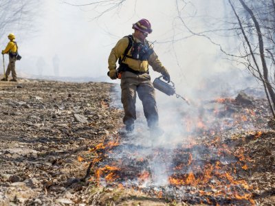 Pennsylvanians see wildlife habitat as important result of prescribed fire, says study