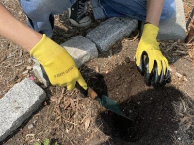 Philadelphia soil project signals largely positive findings for urban growers | Penn State University