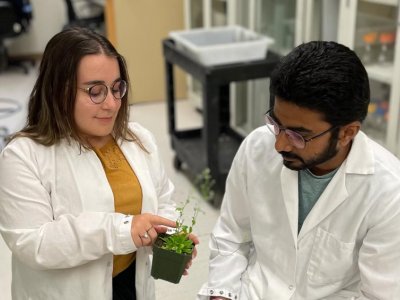 Plant molecular geneticists discover, and begin to crack, the epigenetic code  | Penn State University