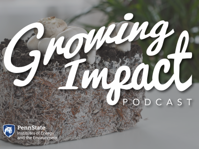 Podcast explores renewable, biodegradable construction materials | Penn State University